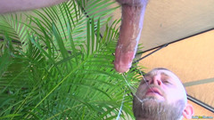 Daddy Sex Files: Pool-penis-anbetung