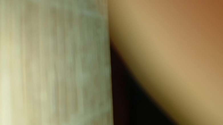 frapla: THỢ SĂN BÚP BÊ TÌNH DỤC