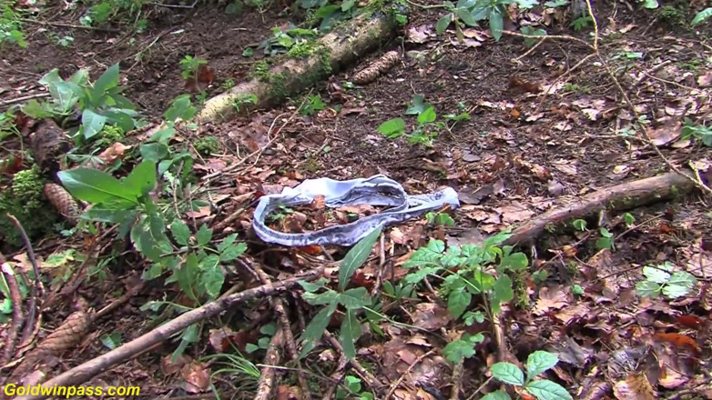 Goldwin pass: Hot chocolate skinny babe Nelly Black rough outdoor fucked in...