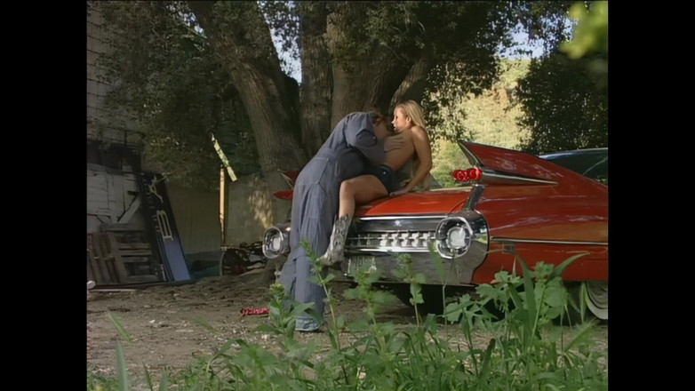 Blitzporn: Joelen: एक गर्म जंगली Filly गड़बड़ मुश्किल