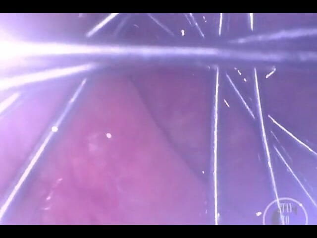 Lina Free: 내 엉덩이를 안쪽으로 퍼뜨리는 거품기