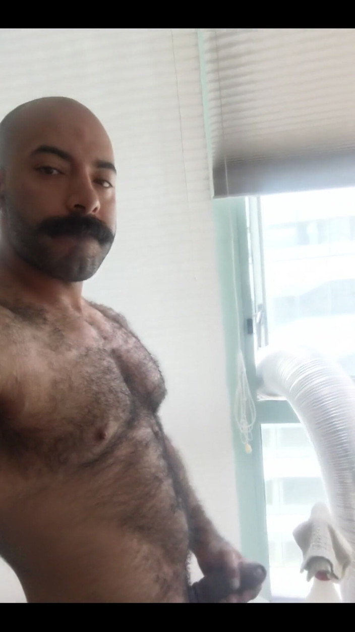 Lobo: Acha que as pessoas do lado de fora me viram?