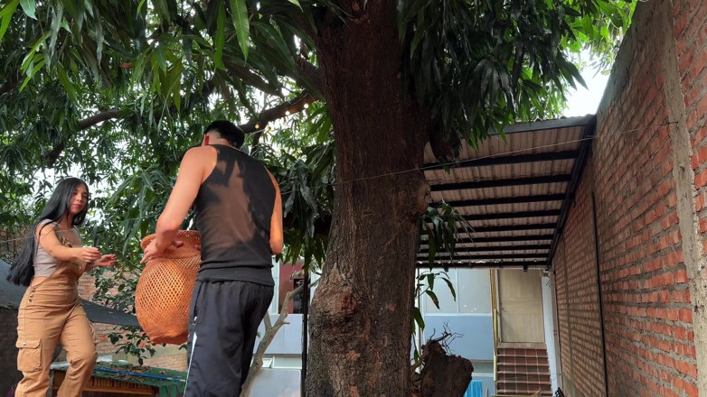 SpaceProductions: Peguei meu vizinho colombiano roubando as mangas da minha árvore e...