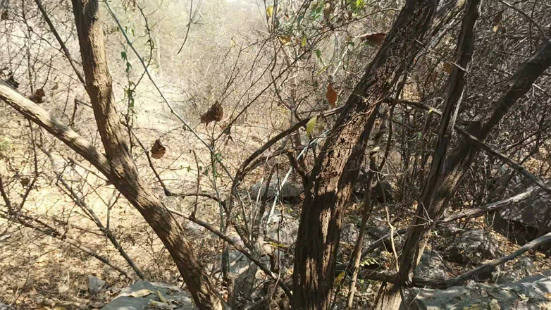Suthavillagexxx: Tamil Boy Masturbating in the Forest