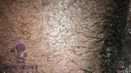 Чорношкірі заводчики 31