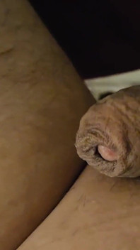 A Resting Sausage