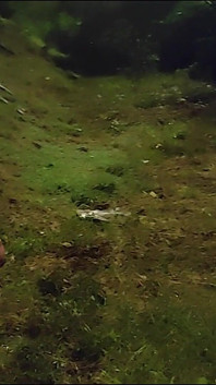 Masturbating Naked on the Side of the Freeway at Night
