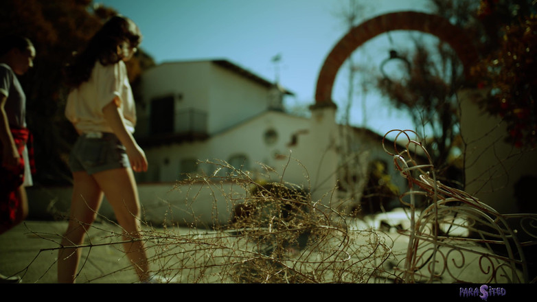 Parasited: Infecţie