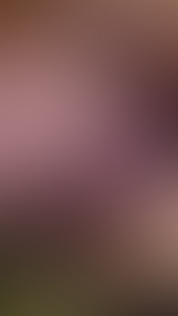 1000034917.mp4