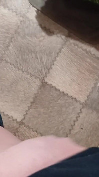 I Caught My Lesbian Neighbors Having a Loud Orgasm