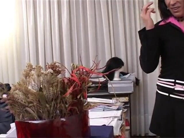 Shemale World: My Favorite Crossdresser Secretary