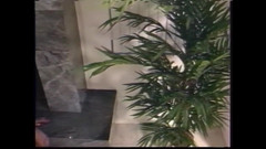 Rocco Siffredi and Friends: Rocco Nasty Experience