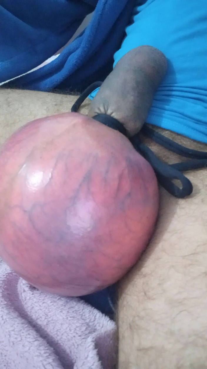 Lion big balls: Extrem luft