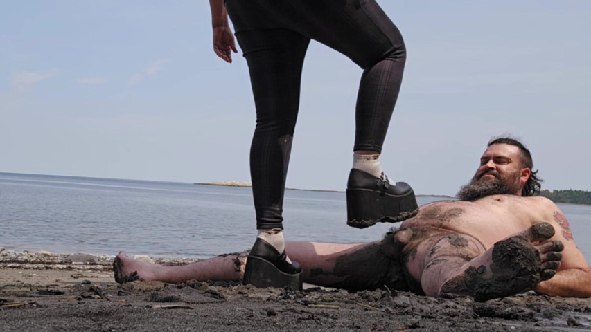 Gaspesie Cock Trampling (MissJ J- La chose)