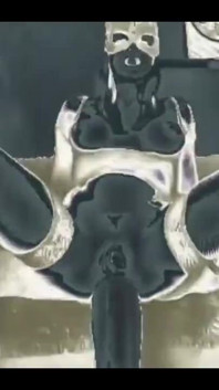 Reels for Anal Feels