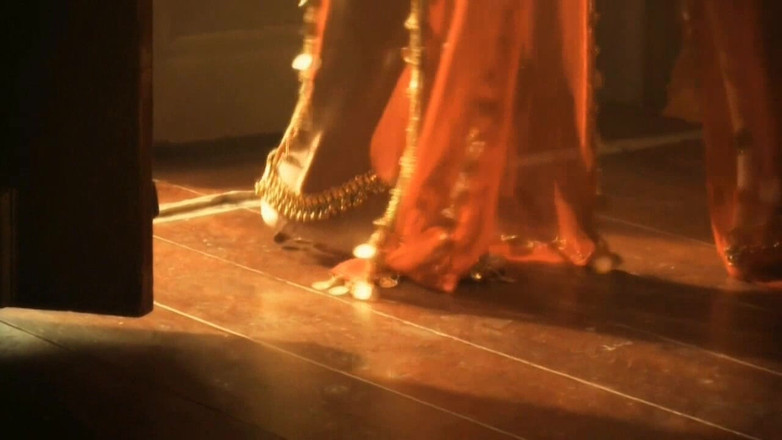 Bollywood Nudes: 宝莱坞裸体高清：natya shastra：肚皮舞p