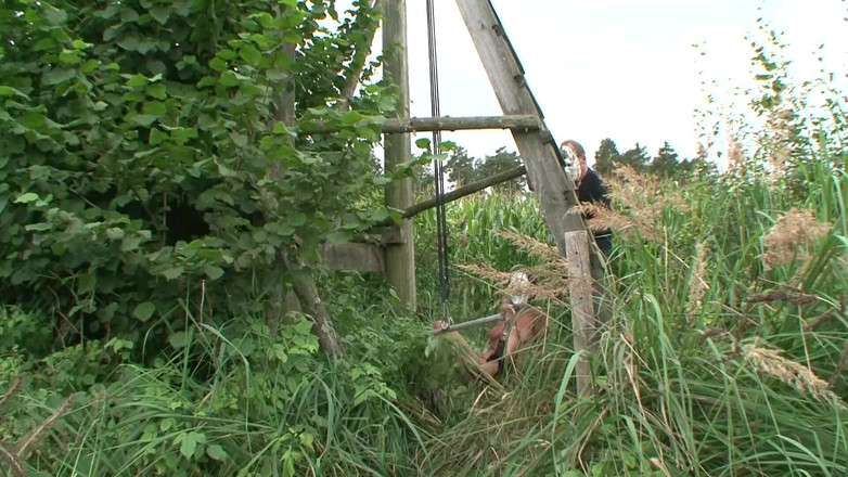 Absolute BDSM: BDSM assoluto - Anale distrutto e inseminato in profondità