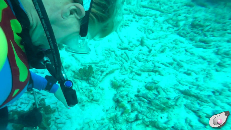 Mistress Pink Pearl: Supergirl se encuentra con el pulpo más cachondo en Bonaire