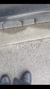 Siapa yang mau bersihin sepatuku?