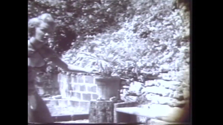 The Unforgettable: 妓女舞者