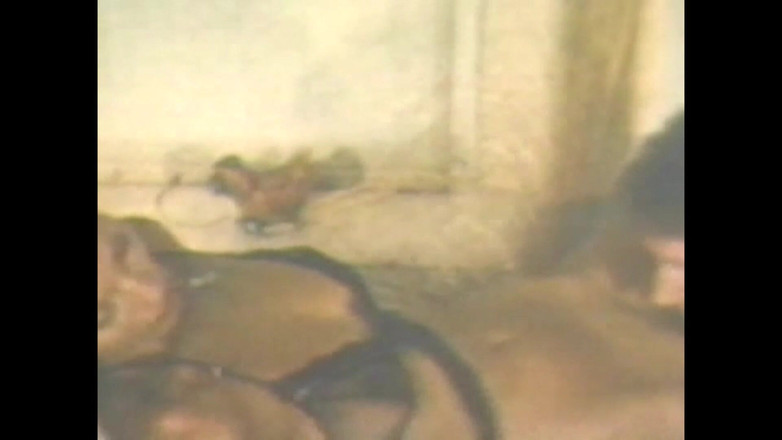 Vintage Megastore Full hd: Seka the Passionate Girl