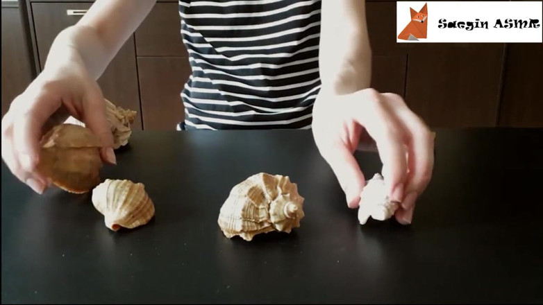 Saegin: 2[ASMR] Rubbing together and scratching seashells (no talking)
