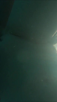 Fucking in the pool. Underwater view