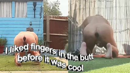 MaleModel: Kompilace Zadek, Zadek, Asshole, Zadek, Hýždě, Spodní, Anální kolík, Nahý,...