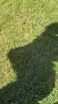 Ik zal je een beetje plagen ... Wie weet wat er in mijn mond zit?