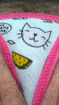 Arielle Lane - Taco kitty up the rock 2026