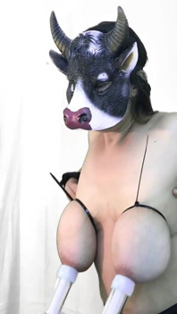 Vaca ordenhada b rolo