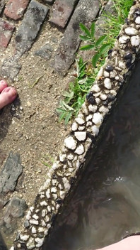 Füße Waschen Am Strand Von Horumersiel