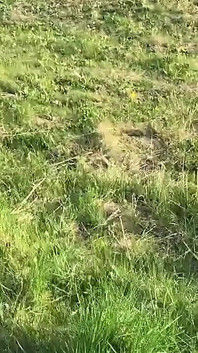 Hari Tersebut Adalah Hari Terbaik, Apabila Anda Boleh Berjalan Bebas