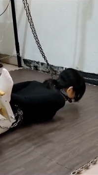 Seksi kız arkadaş eğitim günlüğü 35