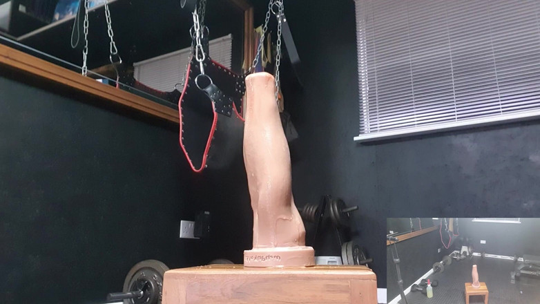 Sexydick: プッシー・トレイニグ