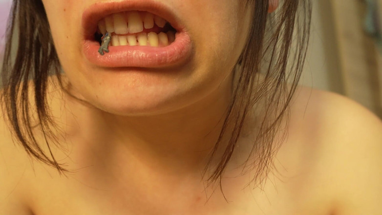 AmayaMori: Giantess Girl Traps Tiny Humans in a Box for Her...