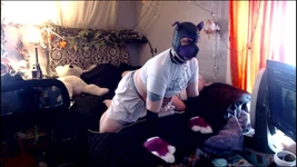 Pup Vibe -session