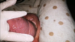 Monster_Meat_: Трах пальцами и накачка к