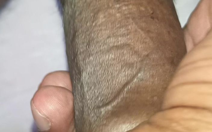 Hote14: Desi Land