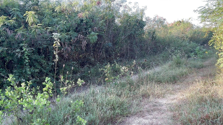 SinglePlayerBKK: Mengambil Vitamin D pada waktu pagi