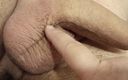 Whispering man: Examinar un pene grande