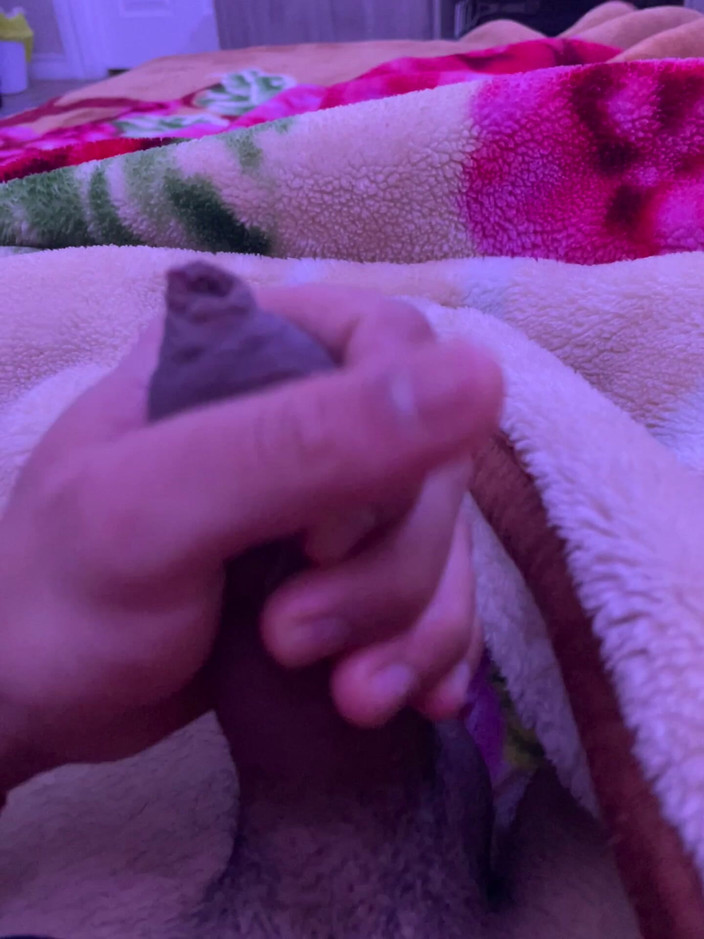 CANADIAN DOG: Masubasi 01