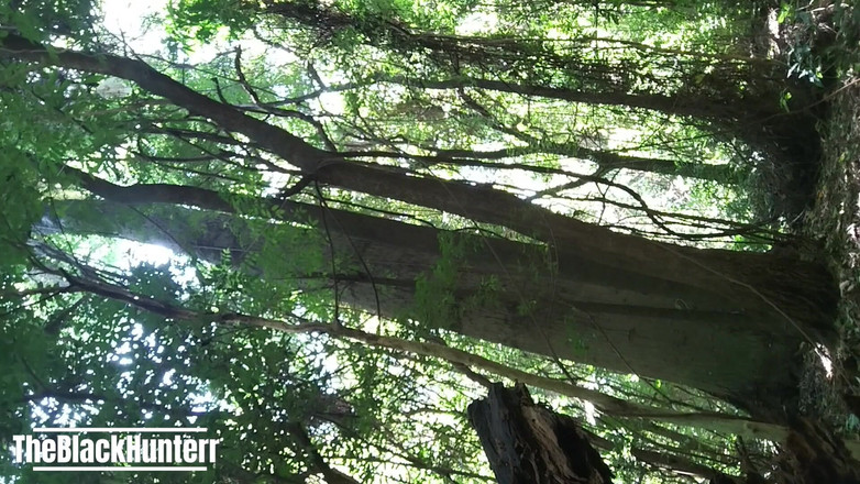 TheBlacKHunterr: Venuta nel parco