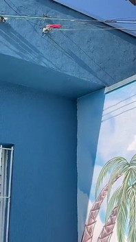 수영장에서 2명이 계속 자위하고 있었다