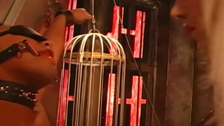 EroticOnly Fetish: Tetovaná latexová paní dominuje svému límečkovi mužského otroka