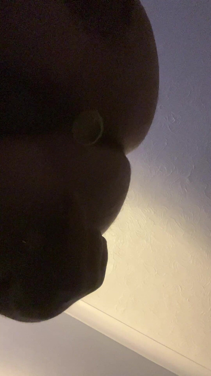 Lovapeggin1: I Love It in My Ass