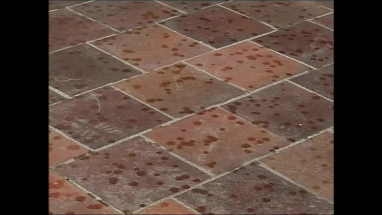 MMV films - The Original: Krásné dívky hledají velké a tvrdé ptáky šukají venku - (celý film v...