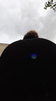 Bee's Anal Illumination