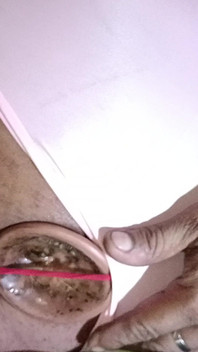 Thưởng thức những món đồ chơi ngon lành này