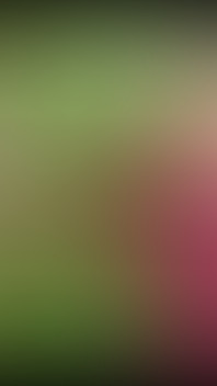 When Two Women Explore the Forest